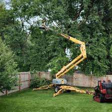 Amboy, WA Tree Services Company